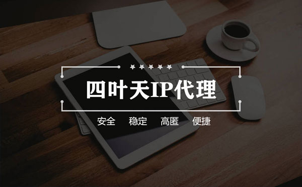 【阿拉尔代理IP】如何快速搭建代理IP？怎么检查代理的效果？